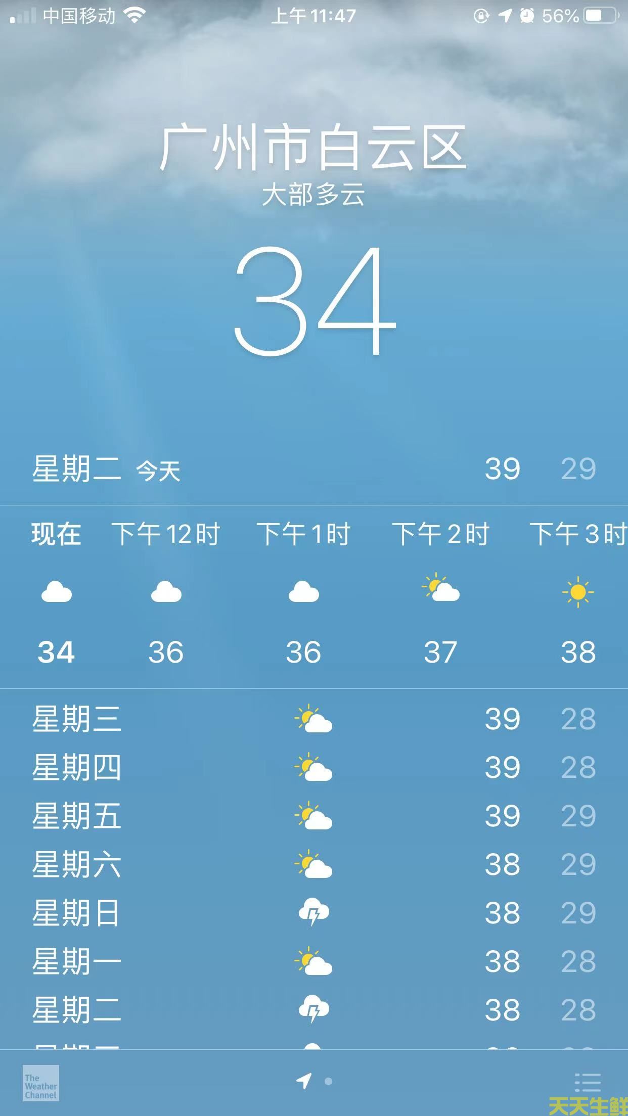 ȳʲôã߲͹˾Ƽ8ʳ(ͼ1)